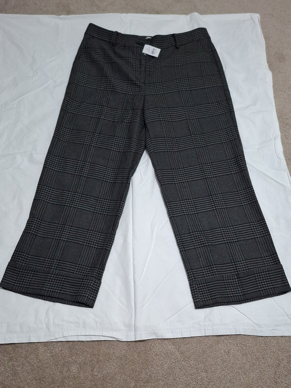 NWT LOFT pants Size 12